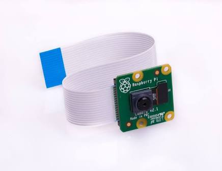 pi camera module